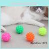 Großhandel Haustierspielzeug 6,5 cm Bonbonfarbener Gummi-Meteorball