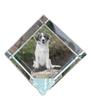 Kooikerhondje – Crystal Cube with a Photo, Photo of a Horse In Crystal |