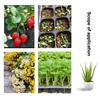 10 Stück Anzuchtschalen Kunststoff Garten Keimschalen Schwarzer Anzuchtbehälter Gartenzubehör Für Gemüse Blume