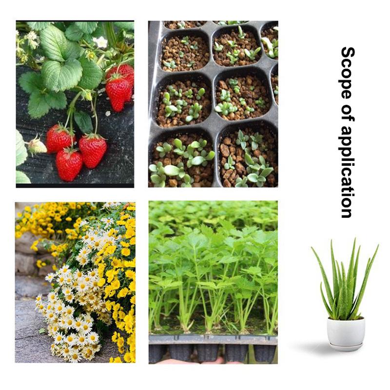 10 Stück Anzuchtschalen Kunststoff Garten Keimschalen Schwarzer Anzuchtbehälter Gartenzubehör Für Gemüse Blume