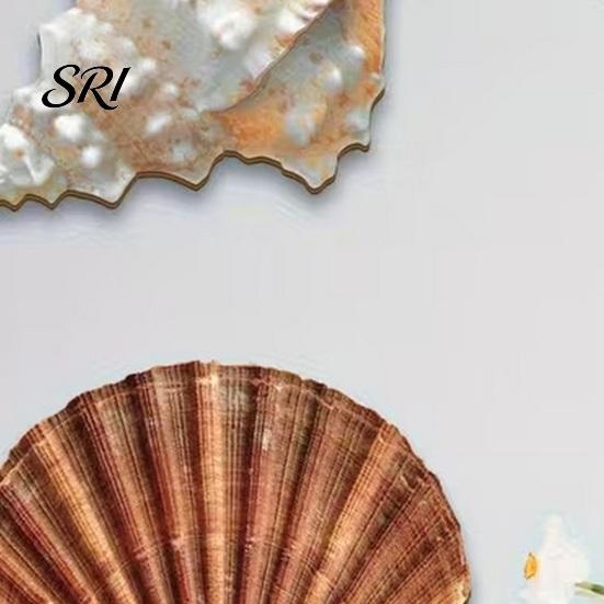 Accroche Murale Rustique 3 Pièces Décor Plage Coquillage Étoile de Mer en Bois Décoration Côtière Maison Art Océanique Nautique pour Salon Salle de Bain Balcon Thématique