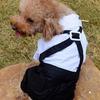 Fashion Dog Pet Puppy Clothes Tuxedo Shirt Suit Bow Tie Stylish Wedding Apparel