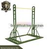 Golden Lion Fitness Training Bars