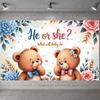 Gender Party Banner Glitter Text Announcement Display Celebration Background Cute Bear Design For Welcome
