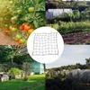 Trellis Net for Grow Tent Flexible Grow Tent Netting Small Square Elastic Trellis Netting Plant Net Scrog Support