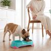 Anti-Spill Pet Feeding Bowl Non-Slip Base 2-in-1 Feeding Dish Pet Double Bowl  For Small Dogs