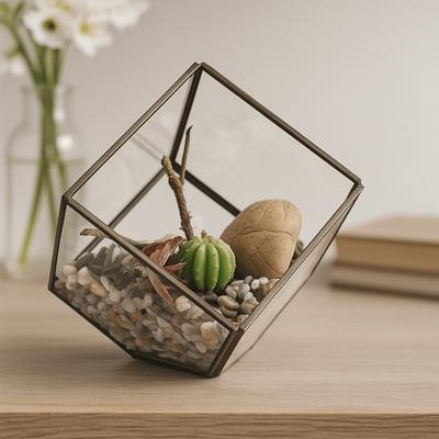 Glass Terrarium Cube On Corner