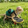 Funny Pet Skateboard Toys Set Creative Parrot Skateboard Lizard Mini Scooter  Photograph Prop