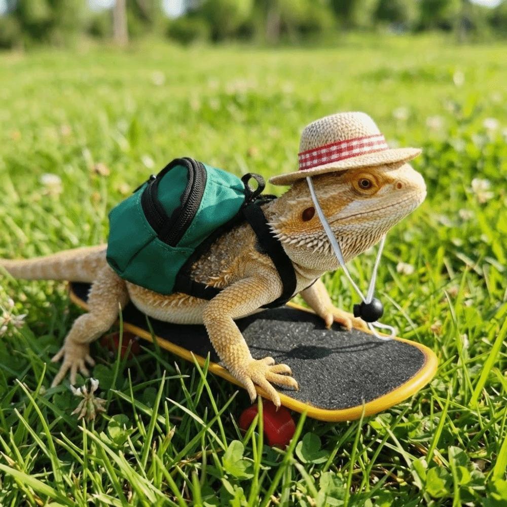 Funny Pet Skateboard Toys Set Creative Parrot Skateboard Lizard Mini Scooter  Photograph Prop