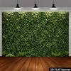 2D Natural Greenery Ivy Wall Backdrop Outdoor Scenery Photo Background