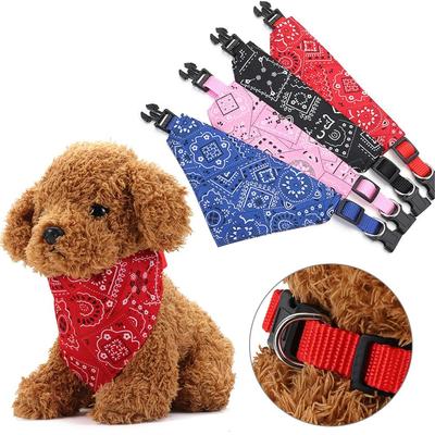 Bekleidung & Schuhe – Hundezubehör