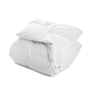 couette anti acarien