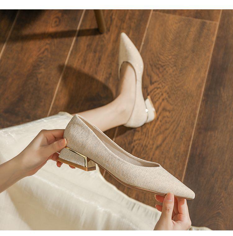 Thick Heel Pointed Head Shallow Mouth Foot Cover Spring Single Shoes Women's 2025 New Low Heel Fashion Late Evening Wind Bridesmaid Women's Shoes