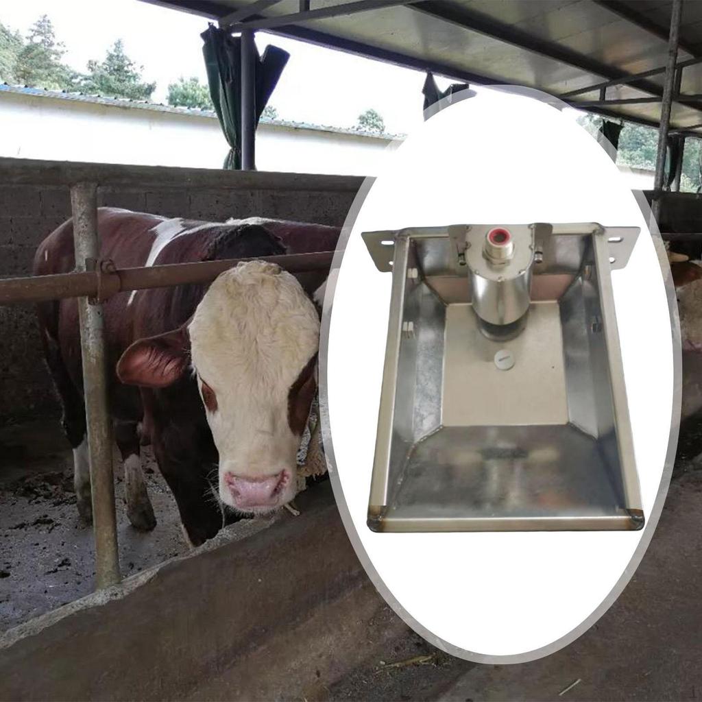 Automatic Cattle Waterer, Stainless Steel, Large Capacity, Feed, Animal Waterer