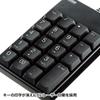 Sanwa Supply NT-17UBKN USB Numeric Keypad, Black
