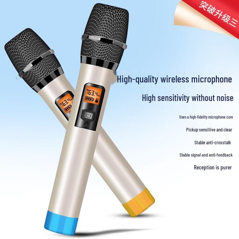 Suoai 12-inch Portable Bluetooth Karaoke Speaker with Dual Microphones