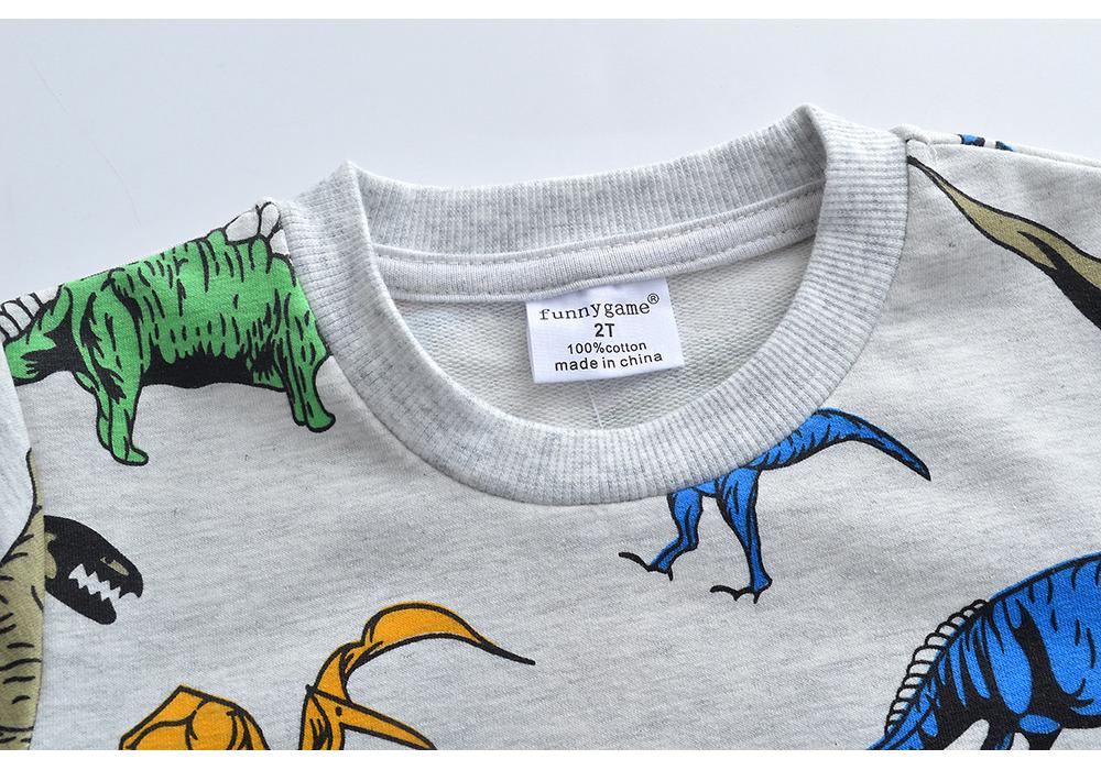 Children's Cartoon Cotton Hoodie – Boys' Long-Sleeve Autumn Wear