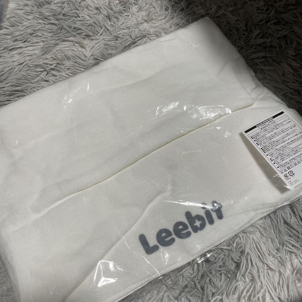 [USED] Stray Kids Hooded Towel Lino Leavitt