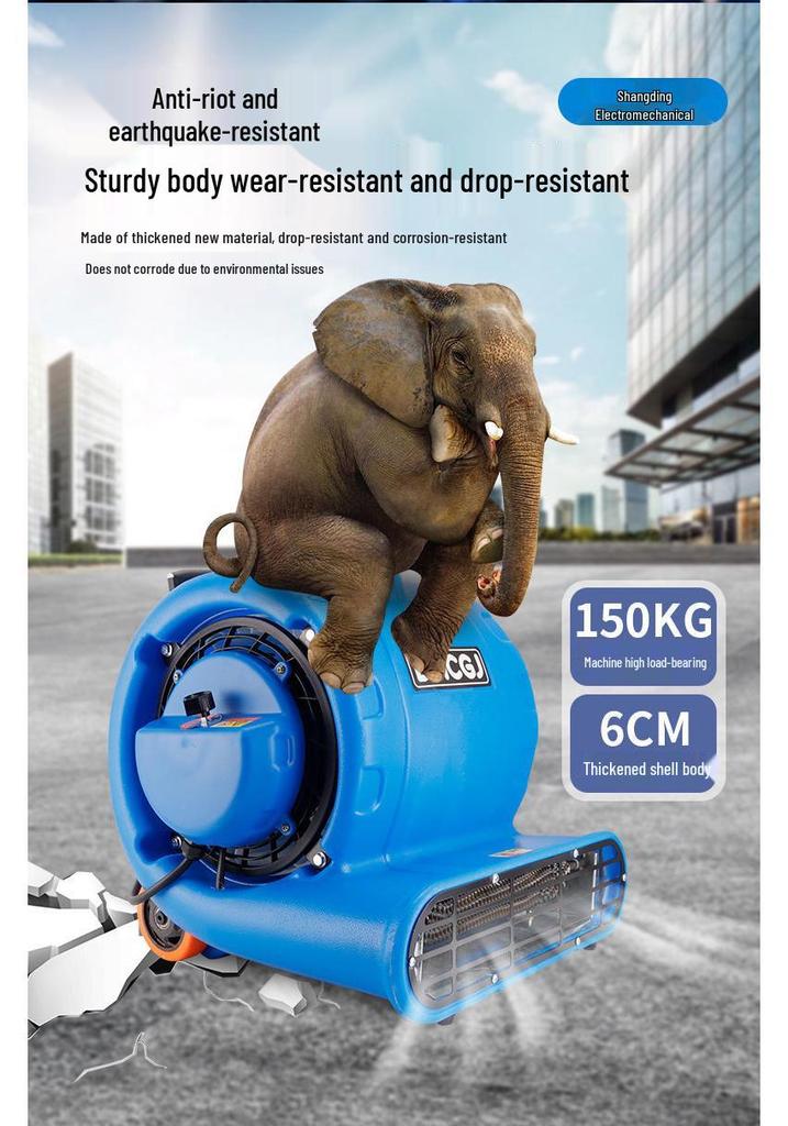 Maolang High-Power Commercial Hair Dryer & Floor Dehumidifier
