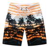 Herren Surfer Boardshorts Surfen Strandshorts Badehosen Bermudas Masculina Badebekleidung Große Größen 4XL 5XL 6XL