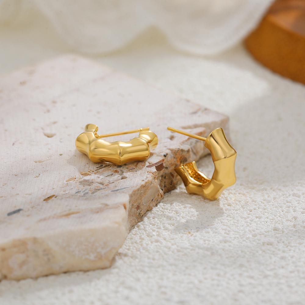 18K Gold Plated Round Bamboo Earrings Hooks Designer Style Circle Huggie Hoop Earring Stainless Steel Vintage Jewelry Party Gift