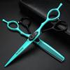 Federclip-Schraube, zweifarbige Haarschere, 6 Zoll, Friseurschere und Effilierschere aus 9cr18-Stahl