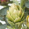 2Pcs Soft Plastic Artificial Artichoke Fruit Fake Simulation Artichoke Flower  Balcony