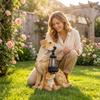 Powered Dog Holding Lamp Garden Statue Mother and Puppy Outdoor Decor for Yard Patio
