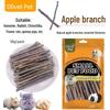 Wooden Hideout & Play Toys for Hamsters, Rats & Rabbits