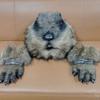Groundhog Head Mask Halloween Latex Costume Prop Film Performance