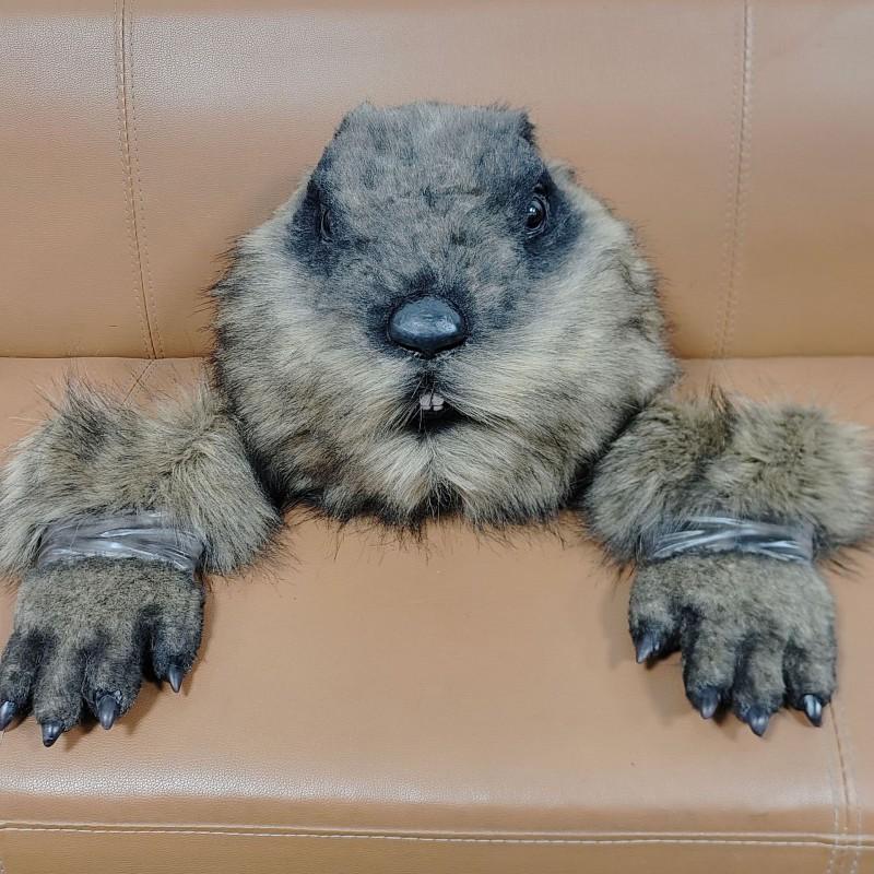 Groundhog Head Mask Halloween Latex Costume Prop Film Performance