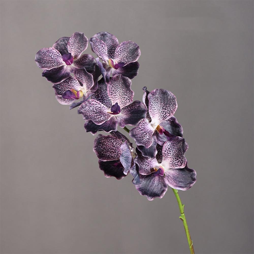 Plastic Phalaenopsis Branch Moisturizing Real Touch Orchids Simulation Flower  Office Decor