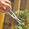Tender Leaf All-Steel Pruning Shears: Floral, Bud, and Bonsai Scissors for Horticulture and Art