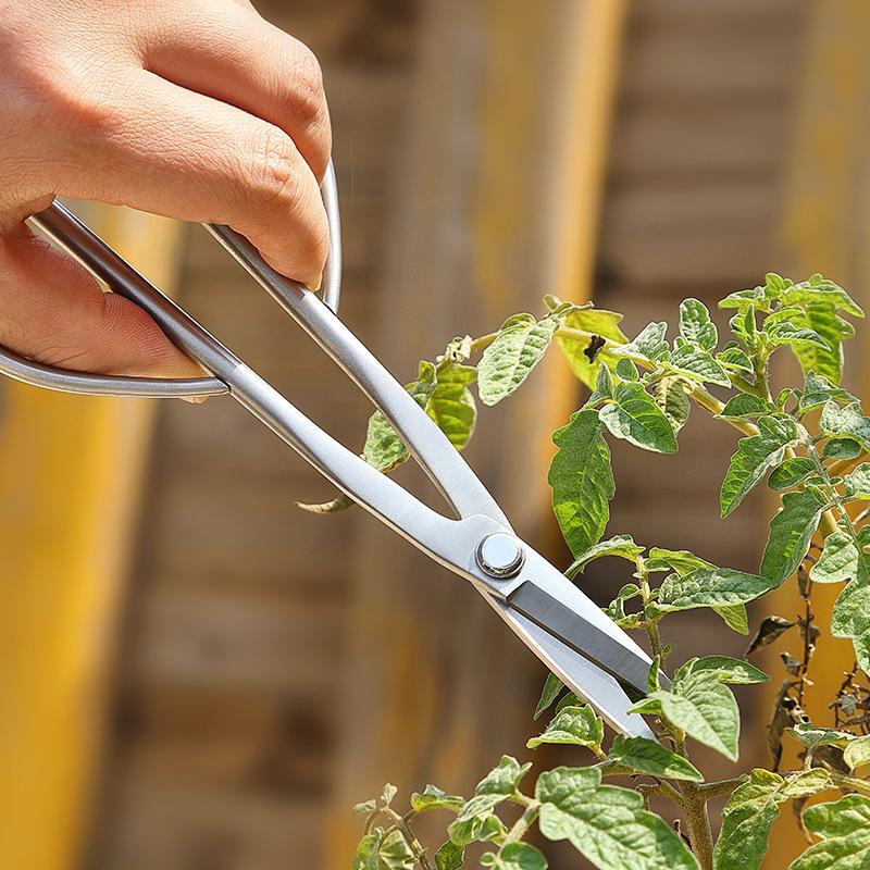 Tender Leaf All-Steel Pruning Shears: Floral, Bud, and Bonsai Scissors for Horticulture and Art