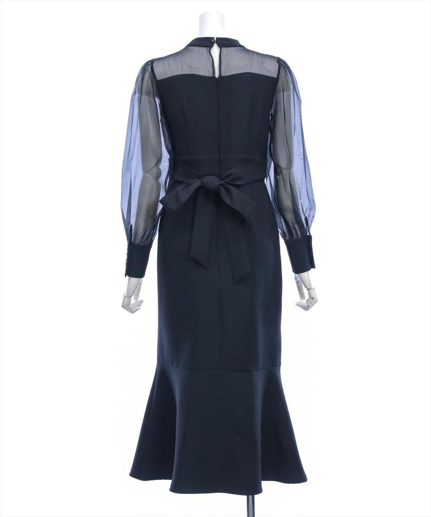 Long Long Sleeved Sheer Mermaid Flare Ribbon Office Sheer Mermaid Dress [Clear] Dress, Women's Dress, Casual, Elegant, 109A1-141283