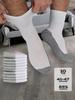 Women's socks Premium, 10 pairs