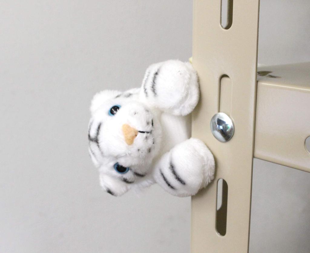 Safari Magnet White Tiger