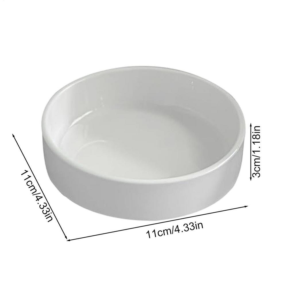 

Brazilian Wood Plant Tray Decorative Small Plant Plastic Holder Saucer Indoor Tabletop Water Plant Dish Office Desk Plate