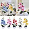 Multicolor Simulation Flower Potted White Flowerpot Faux Potted Plant Orchid  Office Decoration