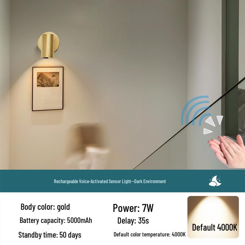 Rechargeable Motion-Activated Voice-Control Wall Spotlight