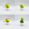 Plastic Succulent Fake Plant Pot For Home Decor And Gift