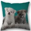 New Custom Pomeranian Dog Pillowcase Cotton Linen Fabric Square Zipper Pillowcase 45X45Cm Wedding Decorative Pillow Cover