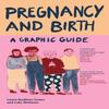 Pregnancy and Birth A Graphic Guide by Laura GodfreyIsaacs Paperback Book 9781837731336