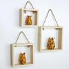 Wooden Square 3Pcs Decorative Wall Shelf Bookshelf Home Office Living Room Wall Decoration and Accessory Holder
