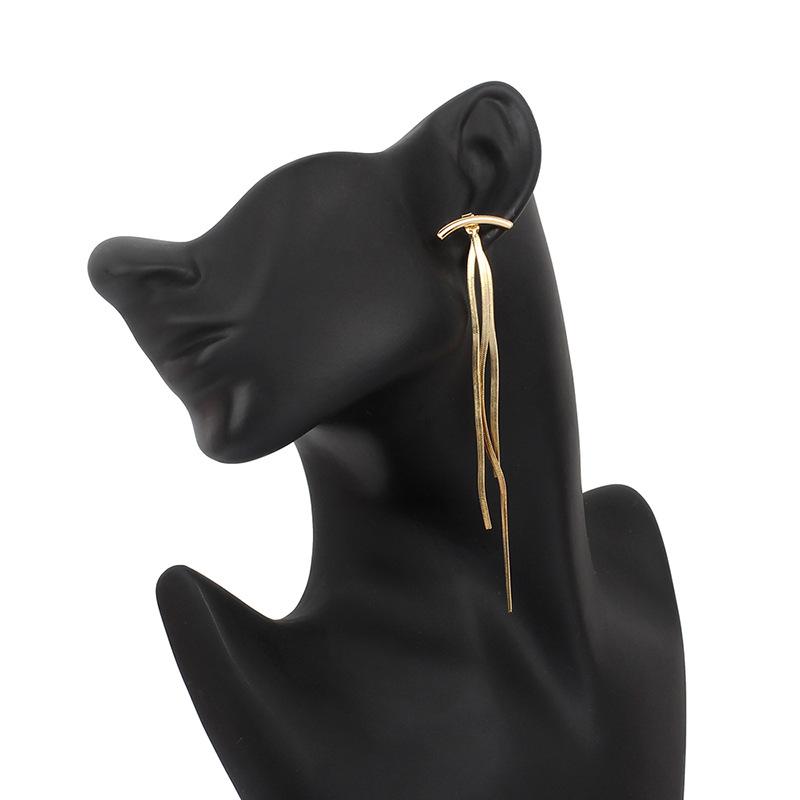 Accessories European and American versatile simple fashion fringed earrings, retro popular personalized metal stud earrings