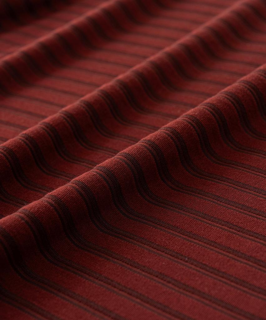 VASTIC See-Through Striped T-Shirt_Wine