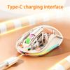 Transparent Rechargeable Wireless Mouse 3 Mode Bluetooth 2.4G Type-C Luminous RGB Silent Ergonomic Magnetic Mice for Laptop PC Gaming Office Use