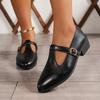 Fashion 2025 Spring T-Strap Thick Heels Pumps Women Vintage Pointed Toe Med Heel Mary Jane Shoes Woman Plus Size Pu Leather Shoes Mujer