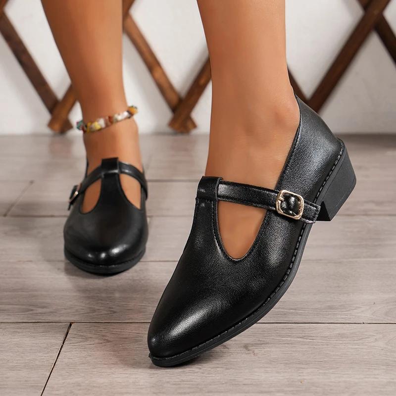 Fashion 2025 Spring T-Strap Thick Heels Pumps Women Vintage Pointed Toe Med Heel Mary Jane Shoes Woman Plus Size Pu Leather Shoes Mujer
