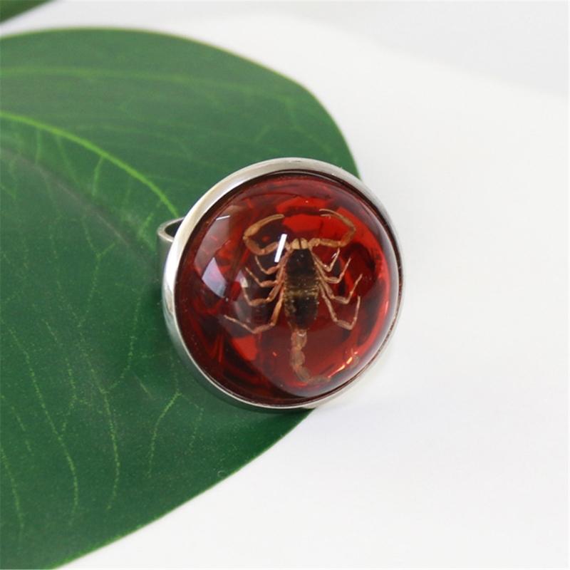 Stylish Round Scorpion Rings Adjsuatble Opening Rings Resin Statement Piece Unique Finger Jewellery Trendy Couple Gift